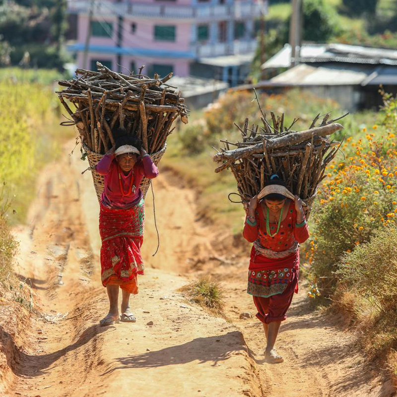 Yadav